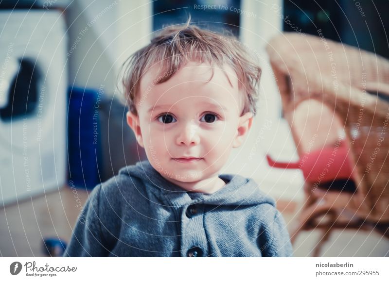 Youth photo Struwwelpeter (: Flat (apartment) Child Toddler Boy (child) 1 Human being Hair and hairstyles Looking Friendliness Beautiful Small Natural Soft Joy