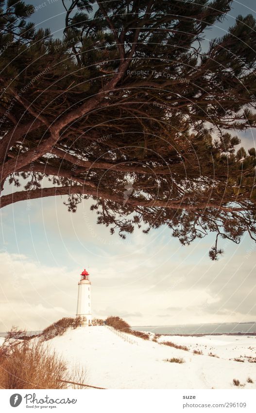 That hat looks good on him. Environment Nature Landscape Sky Clouds Horizon Winter Climate Weather Beautiful weather Tree Hill Coast Beach Baltic Sea Ocean