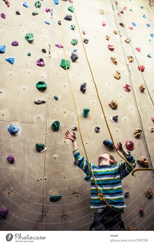 In the ropes Lifestyle Joy Leisure and hobbies Sports Climbing Mountaineering Rope Human being Child Boy (child) 1 3 - 8 years Infancy Wall (barrier)