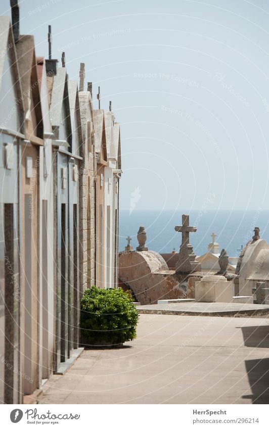 Quiet location with sea view Cloudless sky Beautiful weather Deserted Building Blue Brown Gray Cemetery family crypt Crypt Christian cross Corsica Coast