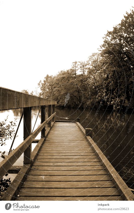 Far into the water Footbridge Wood Tree Pond Water Beautiful weather Gloomy