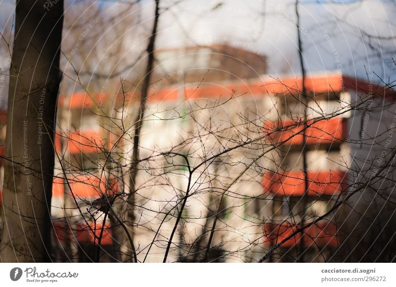 house Spring Beautiful weather Tree Bushes Outskirts House (Residential Structure) Facade Balcony Modern Trashy Town Brown Orange Solidarity Authentic Boredom