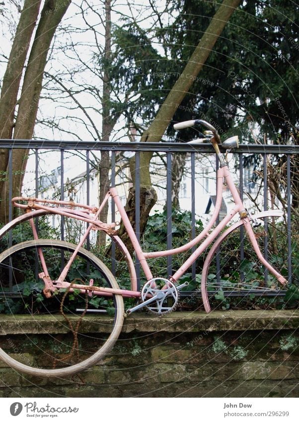 uplift Plant Bushes Town Wall (barrier) Wall (building) Means of transport Cycling Driving Old Retro Trashy Decline Past Transience Bicycle Departure Throw away