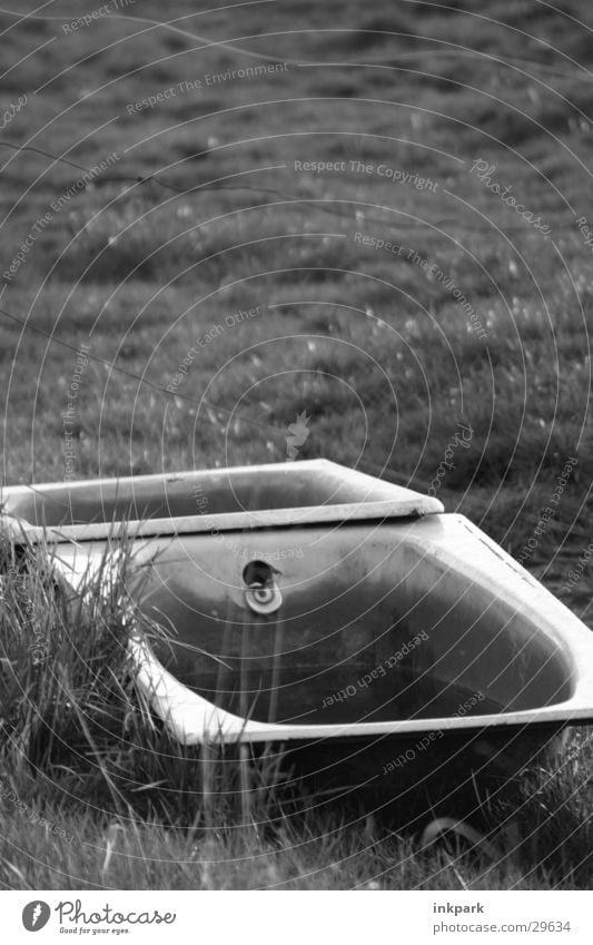 relic Bathtub Obscure Lawn Pasture Water Old Putrefy