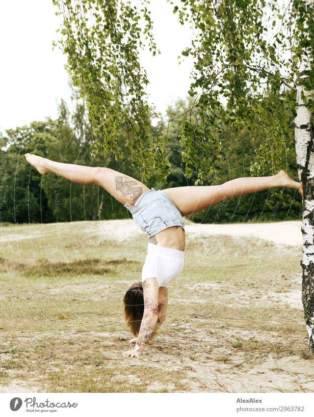 Tattooed woman doing handstand/spagat on a birch tree Lifestyle Style Beautiful Wellness Trip Adventure Young woman Youth (Young adults) Legs 18 - 30 years