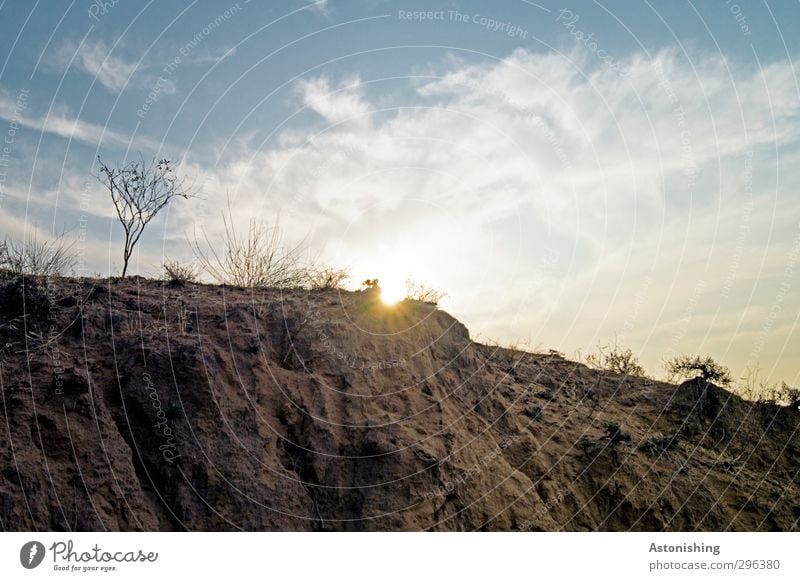 arid Environment Nature Landscape Plant Earth Sand Sky Clouds Sun Sunrise Sunset Sunlight Spring Weather Beautiful weather Warmth Drought Grass Bushes Desert