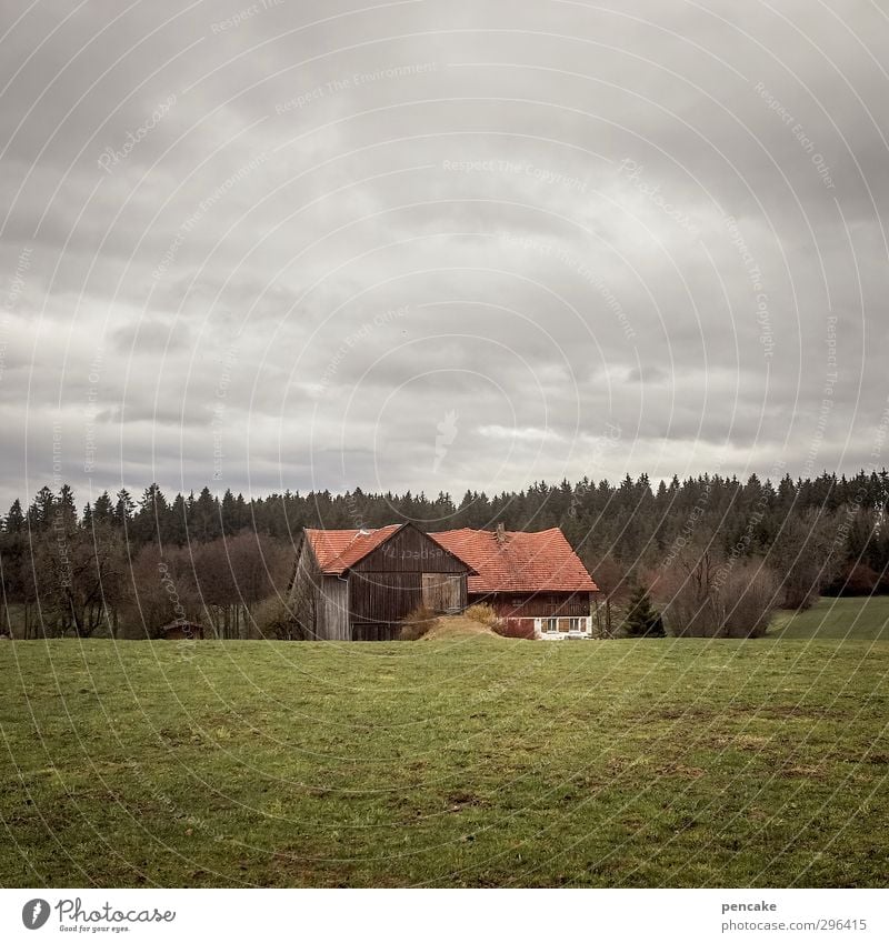 Until the beams bend Nature Landscape Elements Clouds Bad weather Tree Grass Meadow Field Forest Mountain Allgäu House (Residential Structure) farm Monument Old