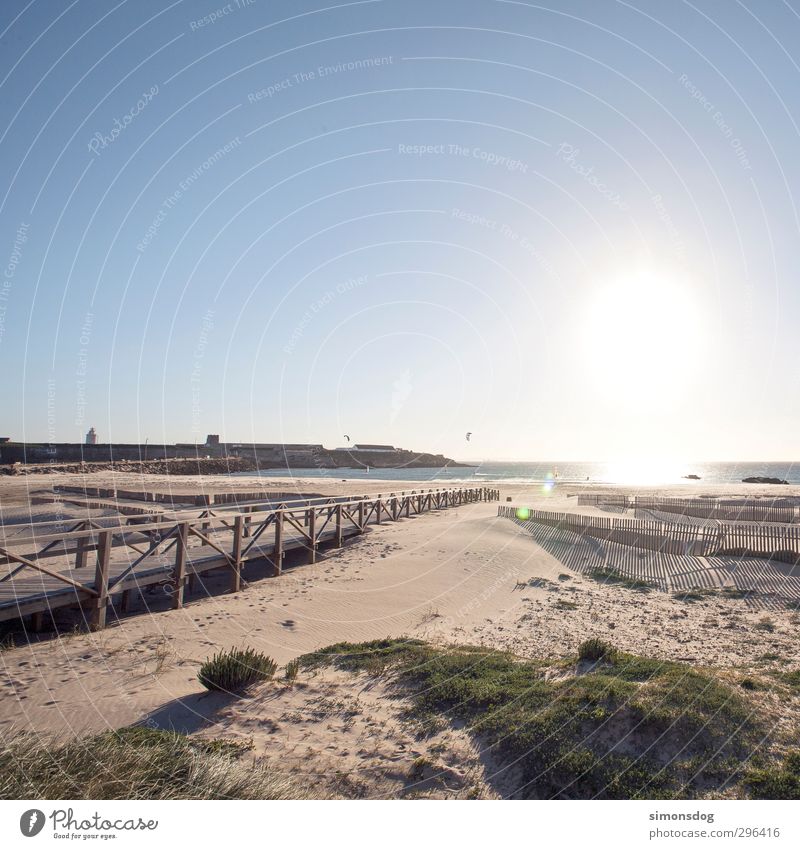 arrived Landscape Elements Sand Water Cloudless sky Horizon Sunrise Sunset Sunlight Summer Beautiful weather Beach Ocean Contentment Joie de vivre (Vitality)