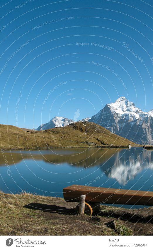 Idyllic Trip Mountain Nature Landscape Water Sky Cloudless sky Autumn Beautiful weather Grass Hill Alps Peak Lakeside Bach alps lake Blue Green White