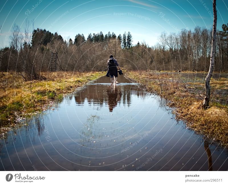 moor and moor Nature Landscape Elements Earth Cloudless sky Spring Beautiful weather Tree Grass Bog Marsh Lake primeval lake Water Going To enjoy Looking Hiking