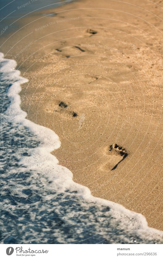 healthy to the touch Healthy Life Well-being Contentment Senses Relaxation Cure Vacation & Travel Summer Summer vacation Ocean Waves Hiking Nature Sand Water