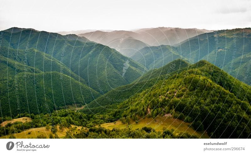 Transylvania Environment Nature Landscape Plant Earth Sky Clouds Summer Climate Weather Forest Hill Mountain Peak Romania Europe Deserted Friendliness Happy