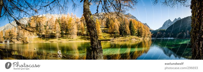 Alpine lake in autumn Environment Nature Alps Mountain Transience Engadine Mountain lake Autumnal Autumnal colours Colour photo Exterior shot Deserted