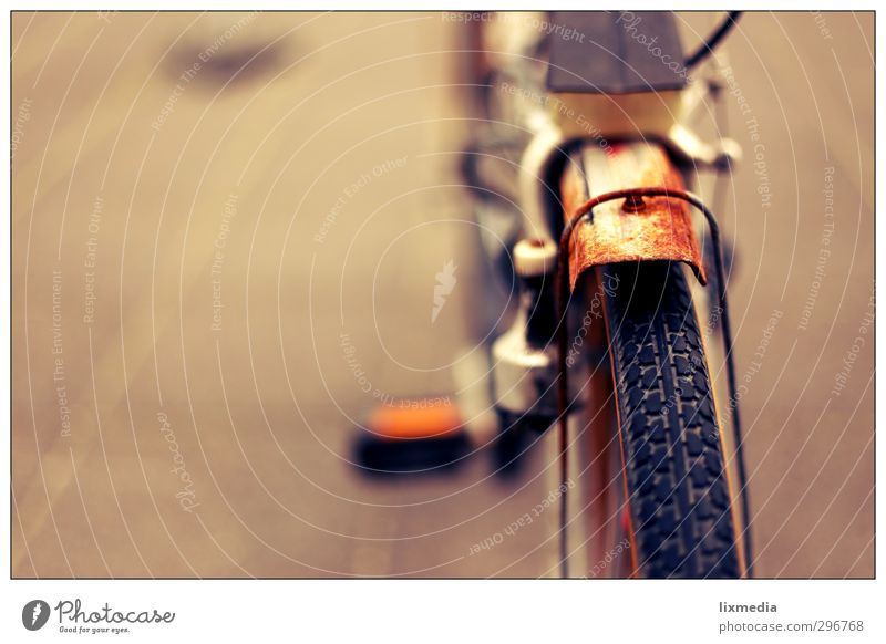 Rust Wheel I Vacation & Travel Bicycle Cycling Old Colour photo Exterior shot Close-up Copy Space left Twilight Contrast Blur Deep depth of field