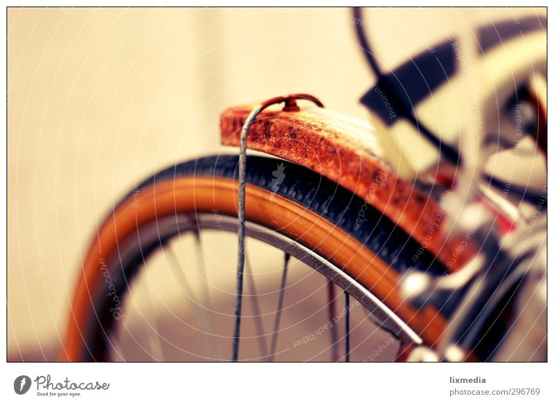 Rust Wheel II Leisure and hobbies Vacation & Travel Old Brown Bicycle Colour photo Exterior shot Copy Space top Contrast Blur Deep depth of field