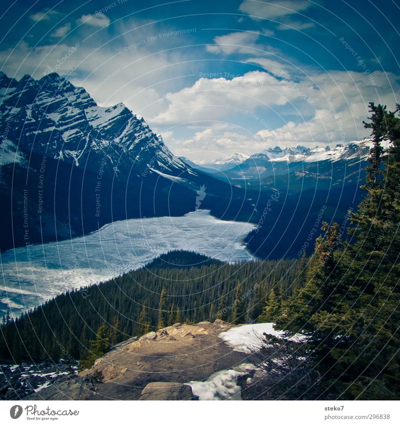 Ice bath paradise Landscape Spring Forest Mountain Coast Lake Cold Green Nature Canada Icefield parkway Rocky Mountains Coniferous forest Frozen Colour photo