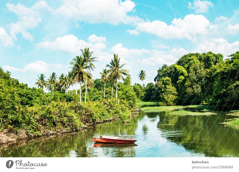 time to relax Vacation & Travel Tourism Trip Adventure Far-off places Freedom Nature Landscape Sky Clouds Plant Tree Leaf Palm tree Virgin forest River bank