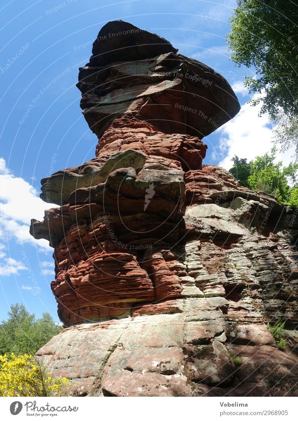 Saltwooger Devil's Table Nature Landscape Beautiful weather Rock salt woog Germany Europe Landmark Blue Brown Multicoloured Yellow Green Pink dahner Felsenland