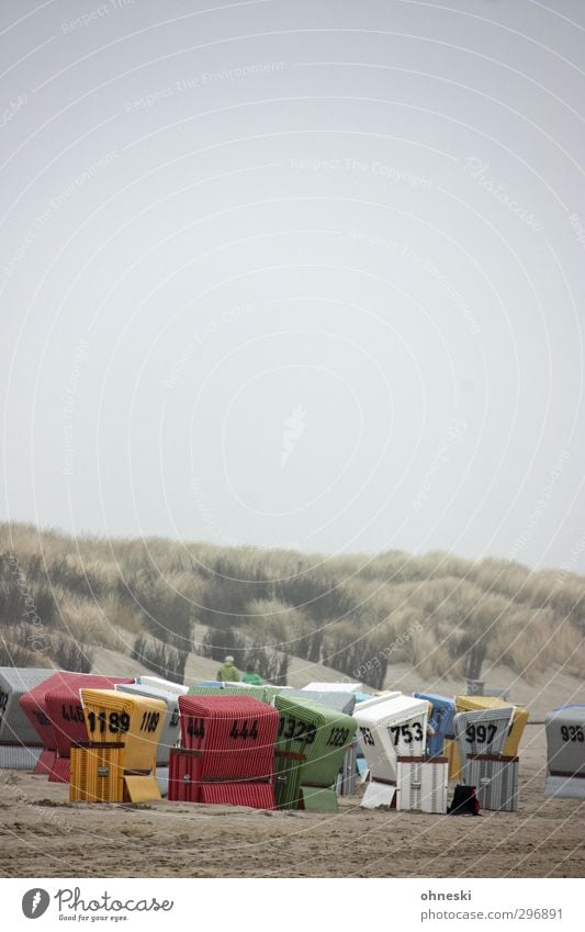 colony Bad weather Fog Bushes Marram grass Coast Beach North Sea Dune Beach dune Langeoog Beach chair Safety Safety (feeling of) Protection Vacation & Travel