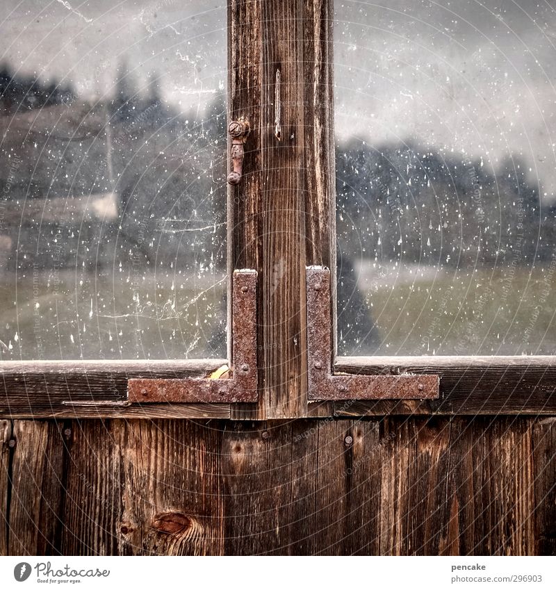 dark side of allgäu adele! Nature Spring Meadow Forest Alps Hut Window Wood Glass Metal Wisdom Wanderlust Loneliness Popular belief Wood grain Texture of wood