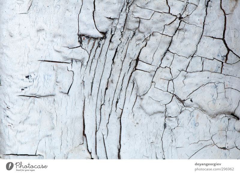 Old cracked paint on old boards Wall (barrier) Wall (building) Facade Dirty Green White wood Consistency background wall wooden Weathered Rough Grunge