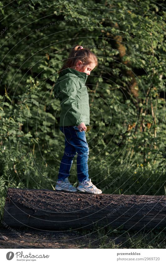 Little girl walking on stump in forest Lifestyle Joy Beautiful Relaxation Leisure and hobbies Playing Vacation & Travel Summer Child Infancy Environment Nature