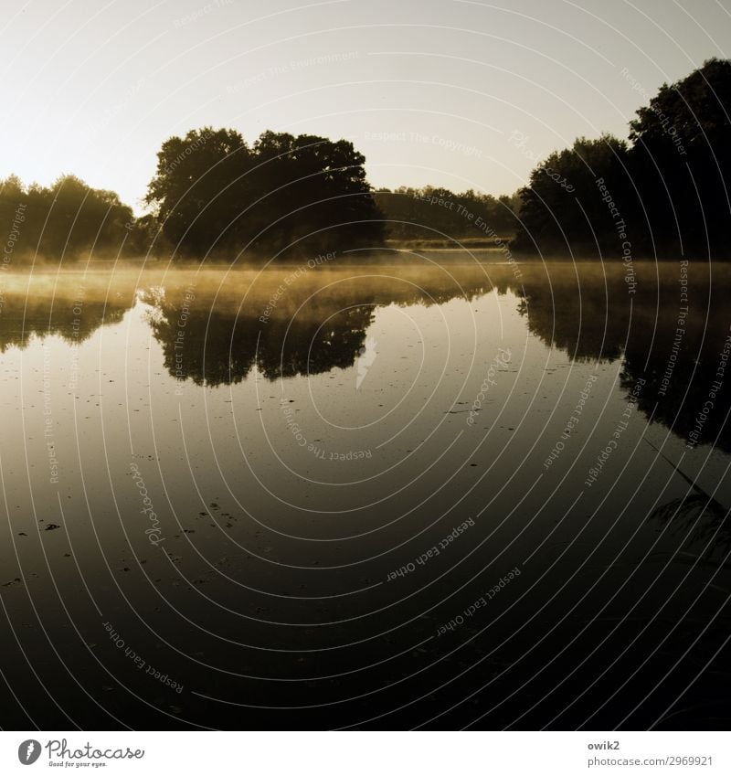 In the mirror in the morning Environment Nature Landscape Cloudless sky Horizon Autumn Beautiful weather Fog Tree Forest Island Pond Serene Patient Idyll