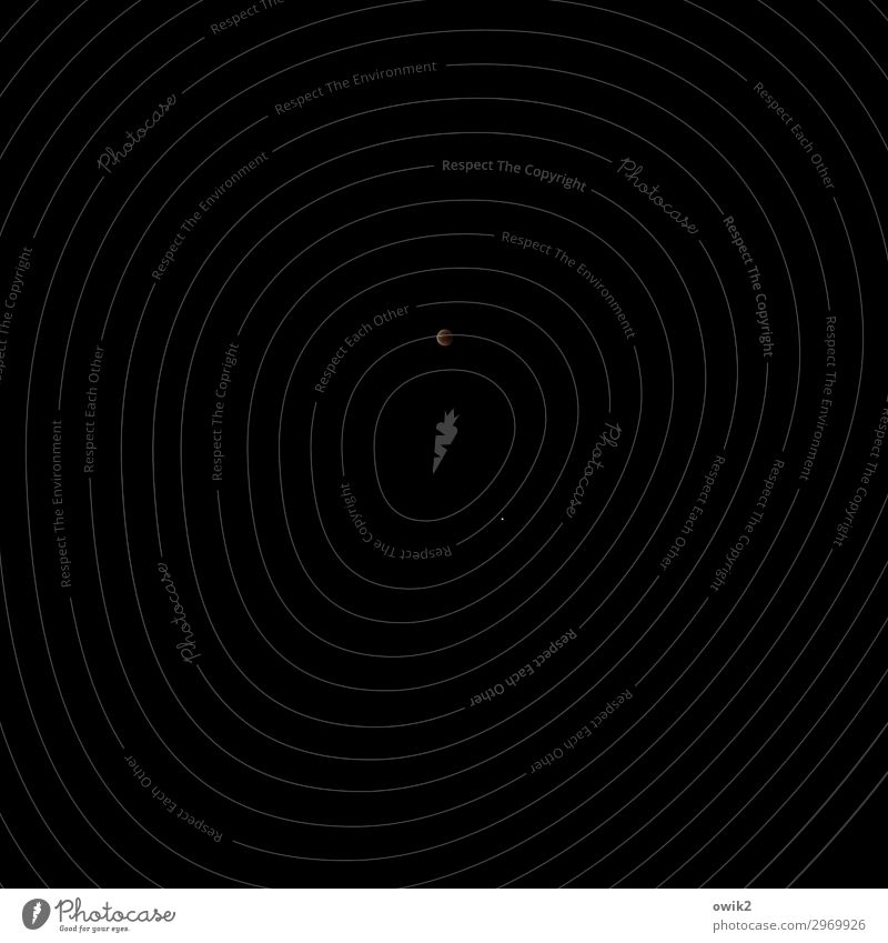 danger of collusions Sky only Cloudless sky Night sky Moon Dark Black Loneliness Expectation Lunar eclipse Darken Universe Starless Infinity Colour photo