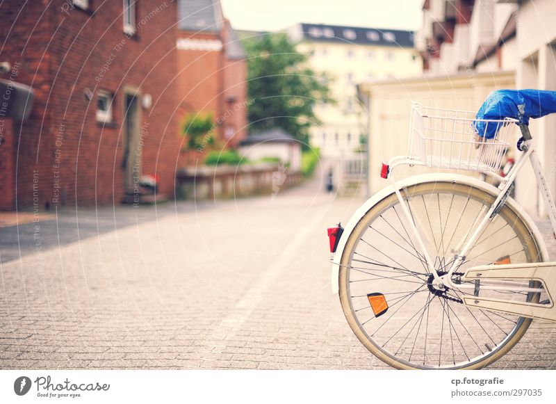 stand by Trip Cycling tour Fitness Sports Training Spring Summer Beautiful weather Pond Borkum Village Small Town Deserted House (Residential Structure)