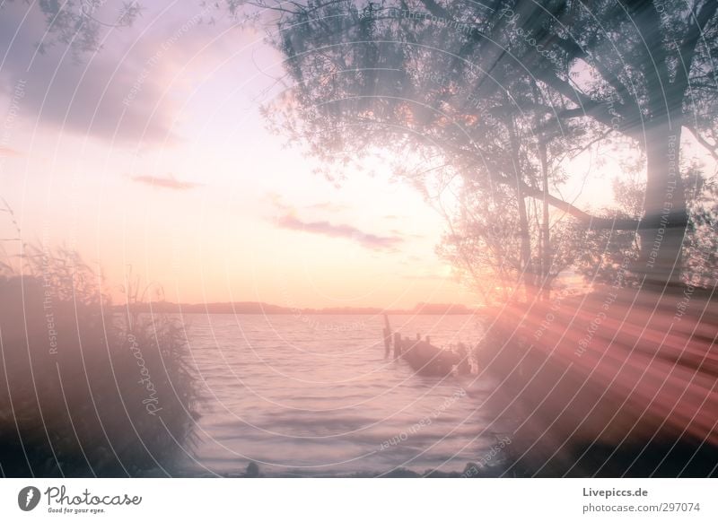 lake district Art Environment Nature Landscape Plant Water Sky Clouds Sun Sunrise Sunset Sunlight Summer Weather Beautiful weather Tree Bushes Wild plant