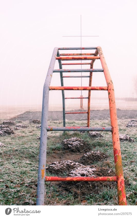 Playground in winter Nature Landscape Water Sky Clouds Sunlight Winter Fog Plant Grass Wild plant Park Lakeside Serene Idyll Climbing facility Misty atmosphere