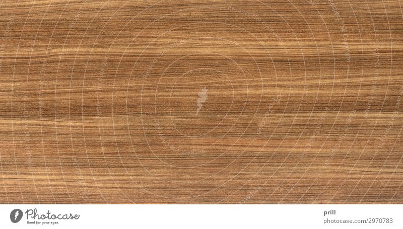 wood grain surface Grain Flat (apartment) Decoration Furniture Nature Forest Wood Line Old Brown Gray Arrangement Quality Wood grain Texture of wood