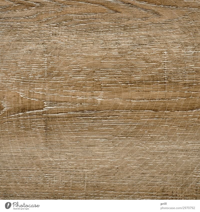 wooden surface Grain Flat (apartment) Decoration Furniture Nature Forest Wood Line Old Brown Arrangement Quality Wood grain Texture of wood wood surface board