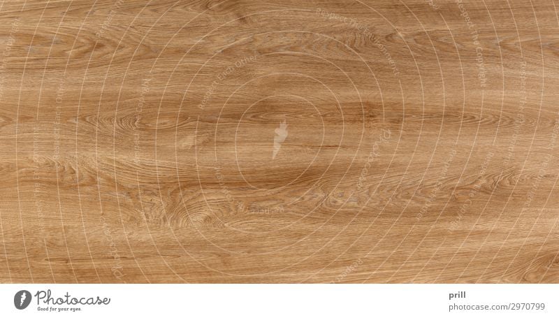 wooden surface Grain Flat (apartment) Decoration Furniture Nature Forest Wood Line Old Brown Arrangement Quality Wood grain Texture of wood wood surface board