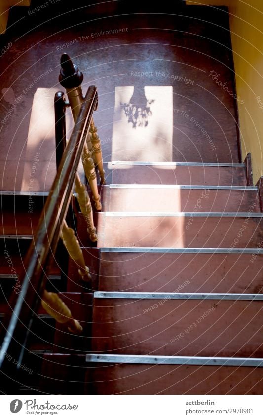 Staircase with flower pot Stairs Landing Descent Go up Window Handrail Banister Apartment house Deserted Town house (City: Block of flats) Level Copy Space