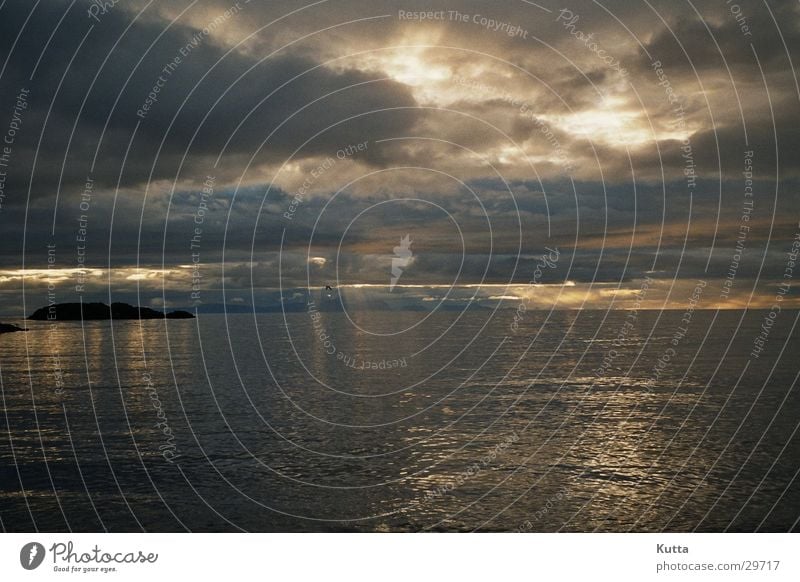 sea view Iceland Ocean Sunbeam Clouds Summer