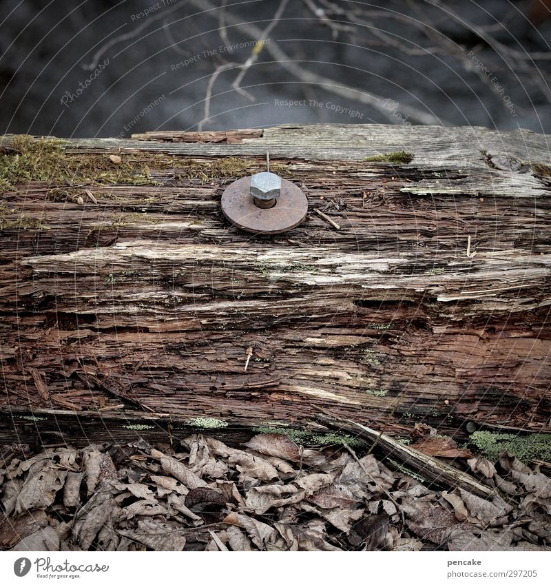 bridge day II Environment Nature Earth River Bridge Wood Rust Water Old Make Stagnating Decline Transience Connection Screw Slice Brittle Dark