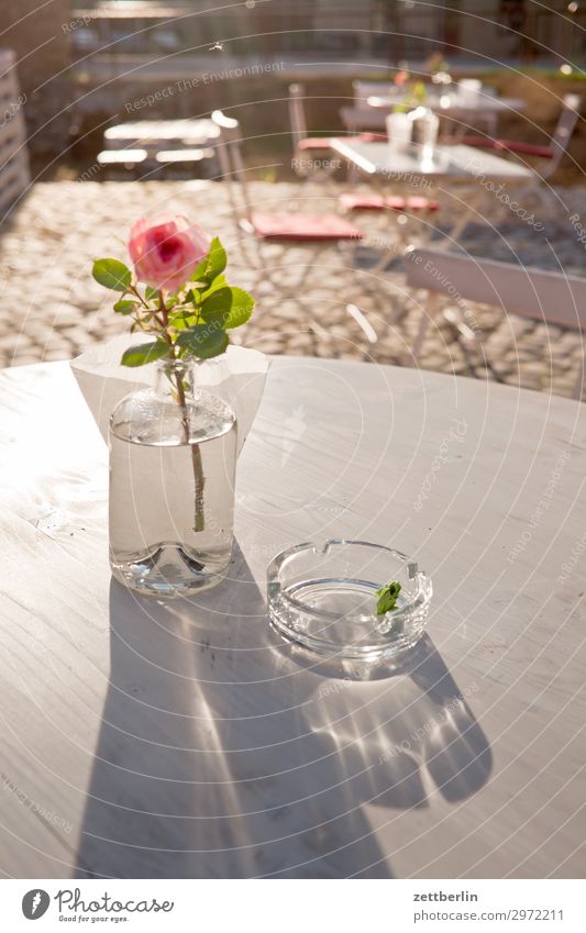 rose Table Rose Vase Decoration Ashtray Glass Sidewalk café Snack bar Gastronomy Hostel Break Summer Sun Light White Deserted Copy Space Calm Relaxation