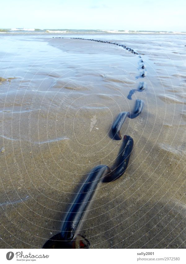 appendageal Coast Beach Relaxation To hold on Firm Power Dependability Chain Chain link Large Strong Sand Low tide Ocean Buoy Anchor chain Colour photo