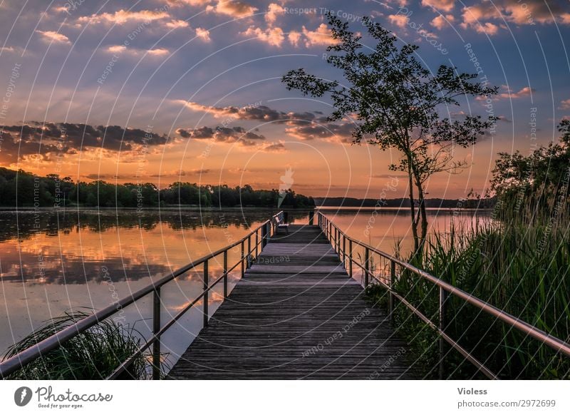 Morning Has Broken Sunrise Lake Footbridge cellar lake talents Orange Calm Reflection Sunbeam Relaxation To enjoy