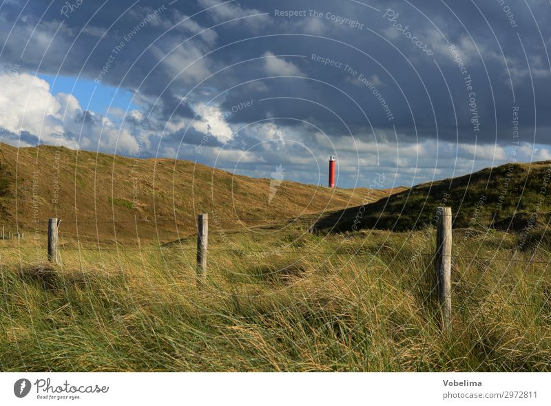 Lighthouse at Julianadorp Groote Kaap Atlantic Ocean dune dunes Sky dutch Coast Landscape Nature Netherlands noordholland North Holland North Sea marram grass