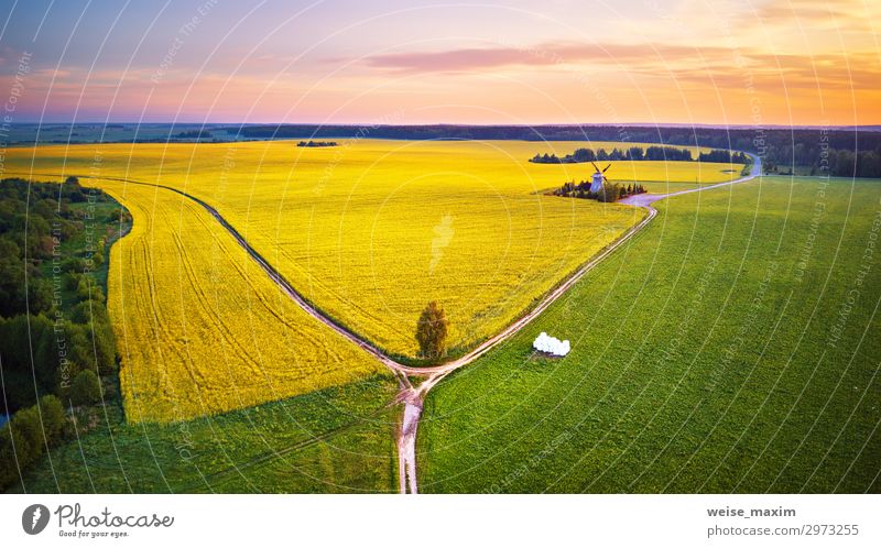 Old windmill in canola Flowering Field at spring sunrise Beautiful Summer Industry Environment Nature Landscape Plant Earth Sky Clouds Horizon Sunrise Sunset