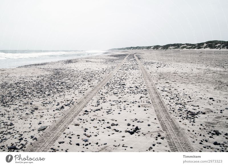 Keep going, keep going! Vacation & Travel Environment Nature Landscape Sand Sky Beach North Sea Denmark Water Esthetic Gray Emotions Loneliness Dune Skid marks