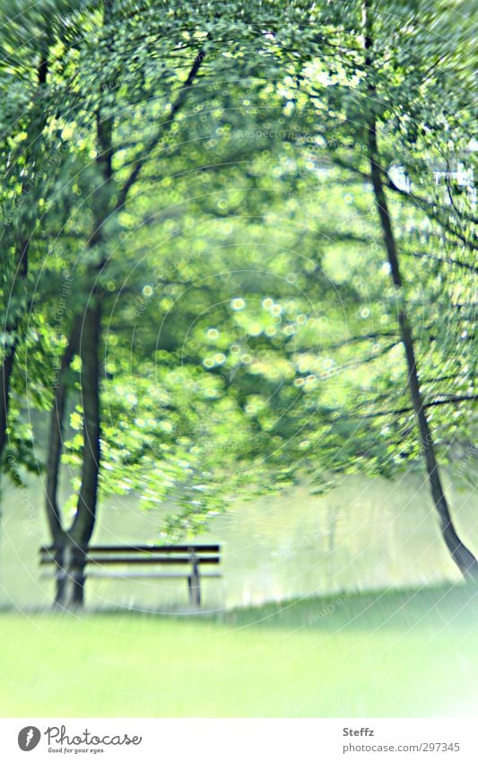 spring awakening Poetic Spring Nature Awakening in the country seat spring picture Spring fever Spring photo Green idyll Peaceful Break Pond Park Harmonious