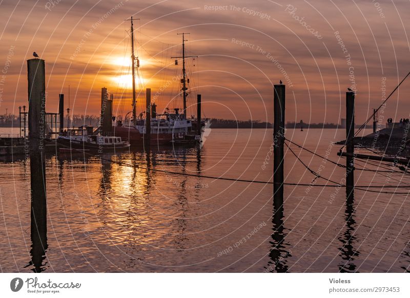 find peace övelgönne Town Port City Harbour Tourist Attraction Landmark Navigation Inland navigation Steamer Watercraft Anchor Discover Vacation & Travel