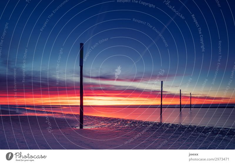 Sunset on a wide North Sea beach with four wooden piles St. Peter-Ording Summer vacation Ocean Vacation & Travel Twilight Evening Exterior shot Maritime