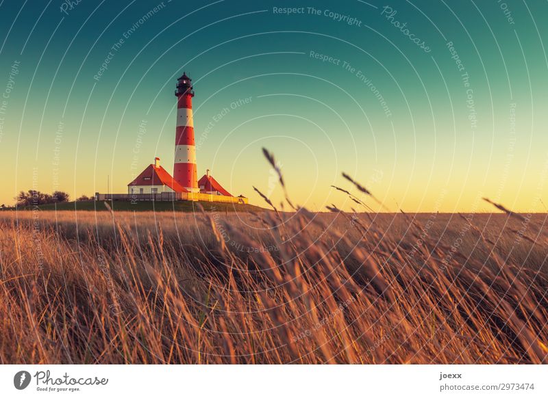 Westerheversand Landscape Cloudless sky Horizon Sunrise Sunset Summer Beautiful weather Grass Lighthouse Tourist Attraction Old Historic Tall Maritime Blue