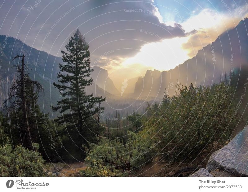 Yosemite National Park at sunset. Beautiful Vacation & Travel Tourism Summer Sun Mountain Fitness Sports Training Science & Research Study Art Nature Landscape