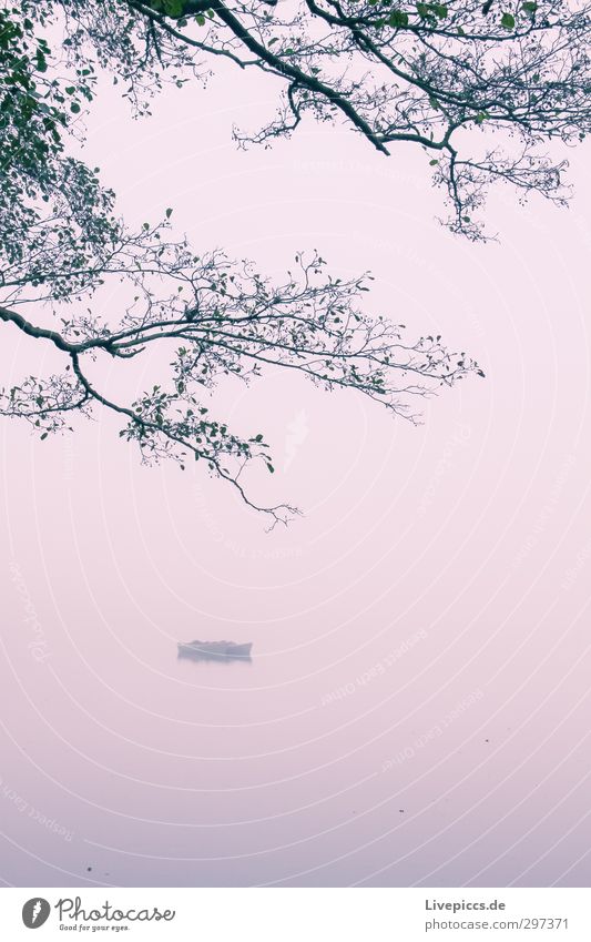 Boat on the Müritz Environment Nature Landscape Plant Water Sky Clouds Autumn Fog Tree Wild plant Lakeside Fishing boat Swimming & Bathing Violet Serene Calm