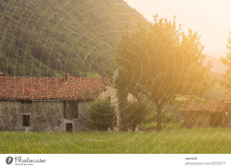 Old Italian farm house in a light flooded valley farm building italy italian agriculture farmhouse countryside farmland sunlight tuscan scenery sunrise european